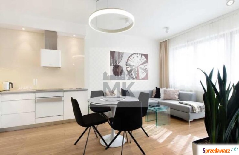 Duży apartament z potężnym tar...