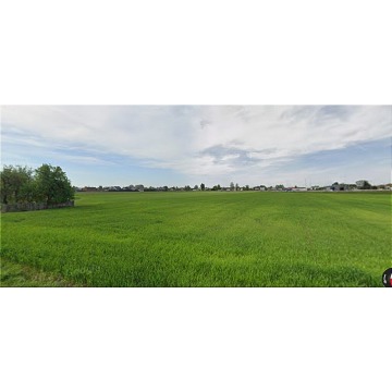 Działka budowlana Opole sprzedam, pow. 8169 m2  (0.82ha) - zdjęcie 6