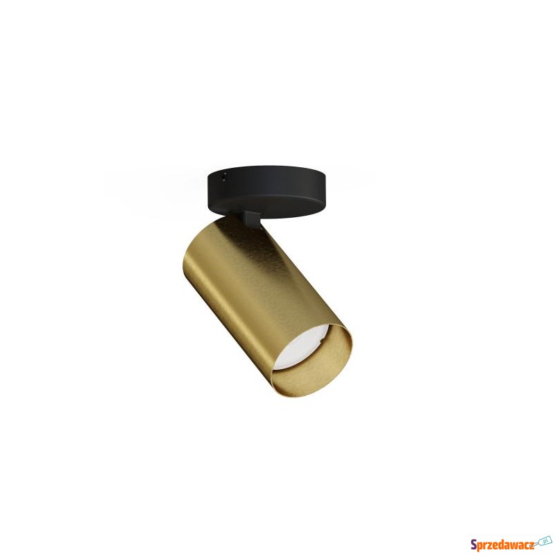 Spot MONO I SOLID BRASS 7778 N...