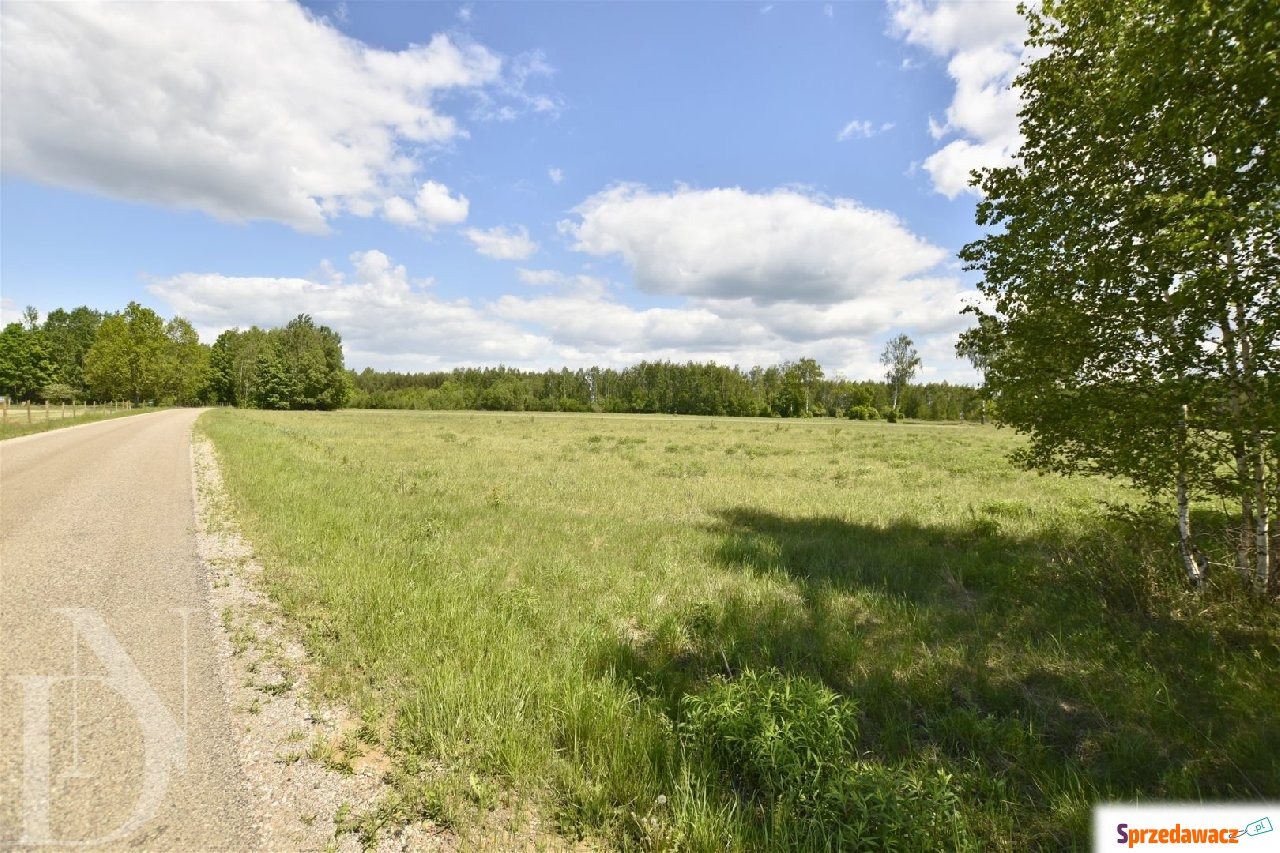 Działka 9661 m² WZ + prąd w re...