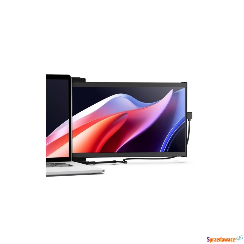Mobile Pixels Duex Max DS monitor...