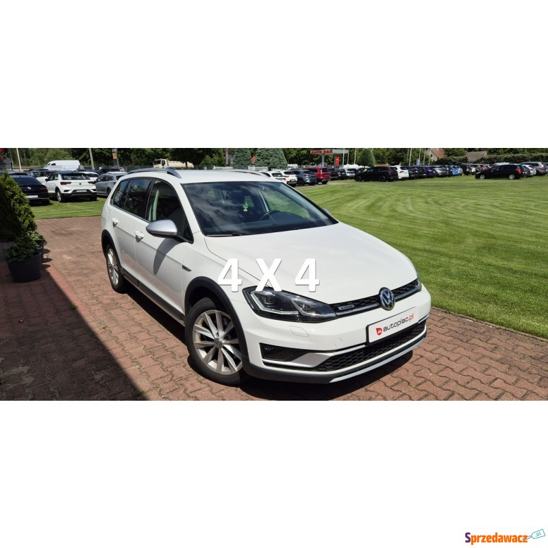 Volkswagen Golf 2019,  2.0 diesel, automat - Na sprzedaż za 58 800 zł - Paproć