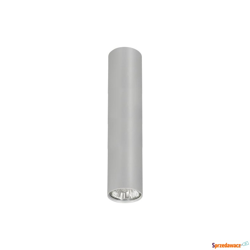 SPOT EYE SILVER M 5465
