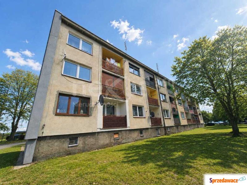 Przytulne mieszkanie Dalborowice