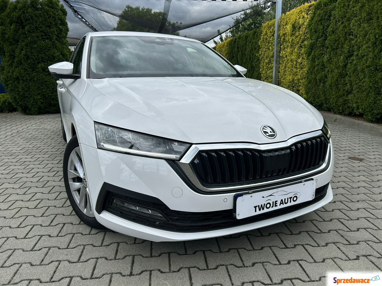 Skoda Octavia 2023