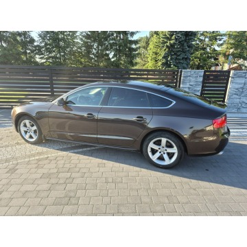 Audi A5  Hatchback 2012,  1.8 benzyna - Na sprzedaż za 43 800 zł - Drelów - zdjęcie 3