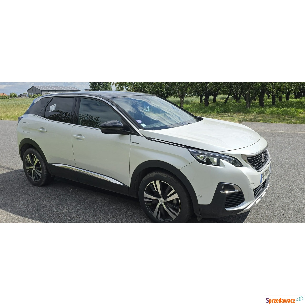 Peugeot 3008 2019