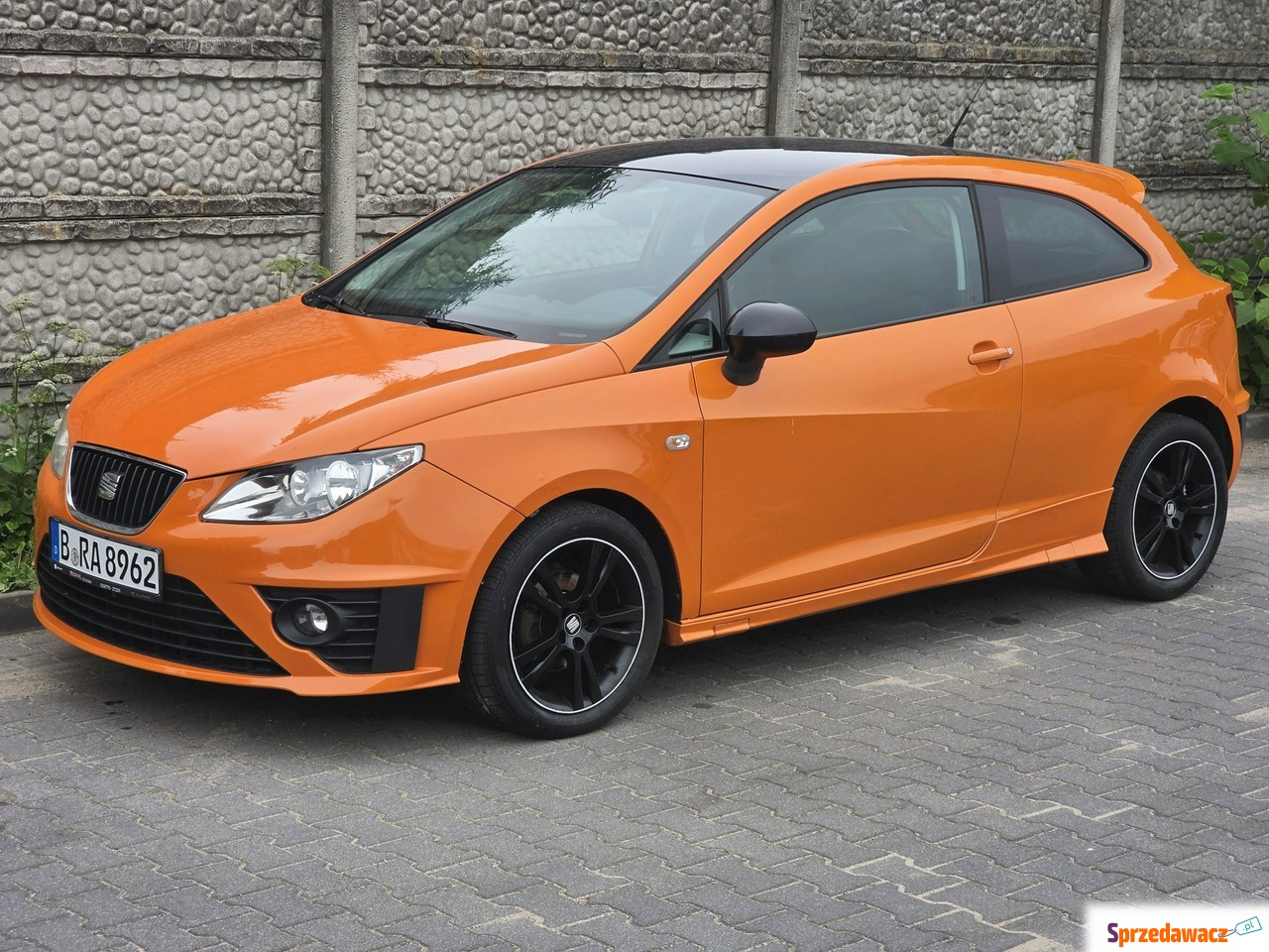 Seat Ibiza 2010