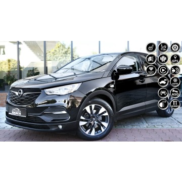 Opel Grandland X - AUTOMAT|SalonNiemcy|Kamera|1 Reka|As.Pasa|2x Park| Serwis ASO|GWARANT