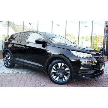 Opel Grandland X  SUV 2019,  1.2 benzyna, automat - Na sprzedaż za 58 999 zł - Świebodzin - zdjęcie 2