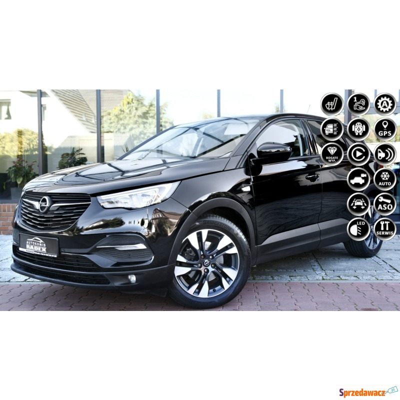 Opel Grandland X  SUV 2019,  1.2 benzyna, automat - Na sprzedaż za 58 999 zł - Świebodzin