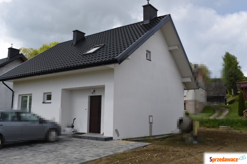 Sprzedam dom Dynów - ,  pow.  100 m2,  działka:   438 m2