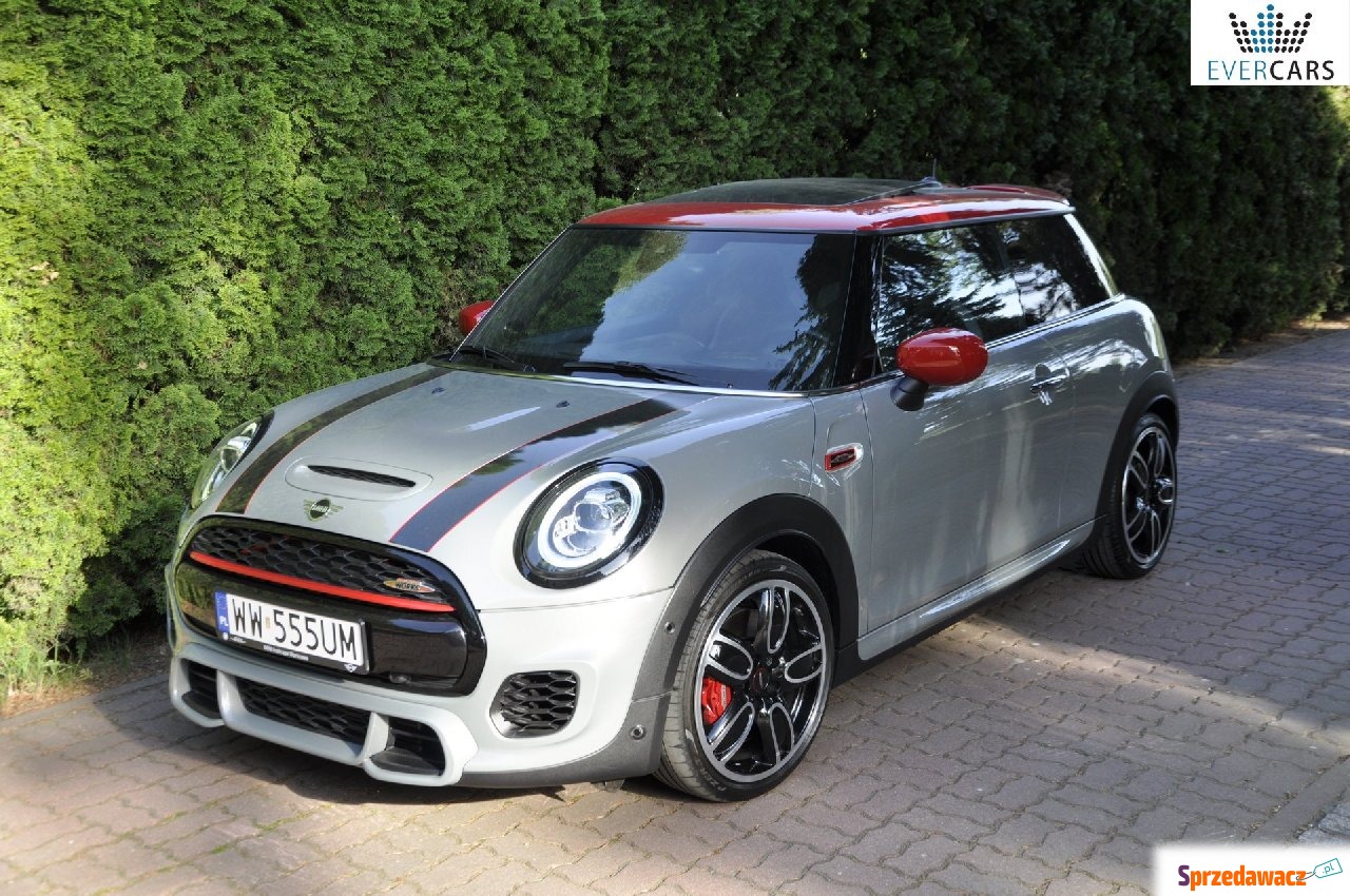 Mini 2020