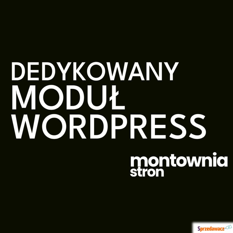 Programista WordPress/WC - wtyczki na zamówienie... - Usługi informatyczne,... - Kraków