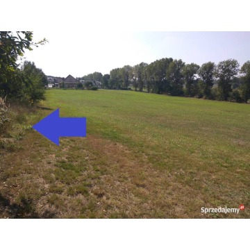 Działka budowlana Racibórz sprzedam, pow. 13 624 m2  (1.36ha), uzbrojona - zdjęcie 4