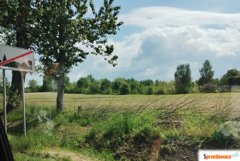 Działka budowlana Racibórz sprzedam, pow. 13 624 m2  (1.36ha), uzbrojona