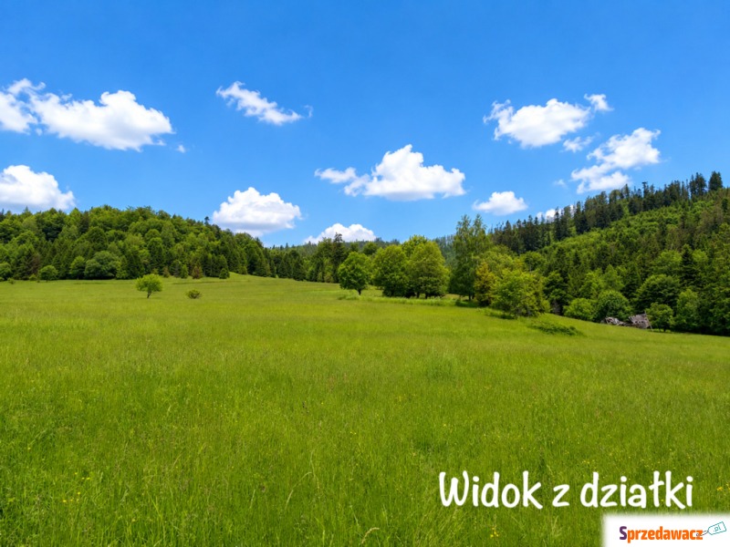 Działka budowlana w Soblówce