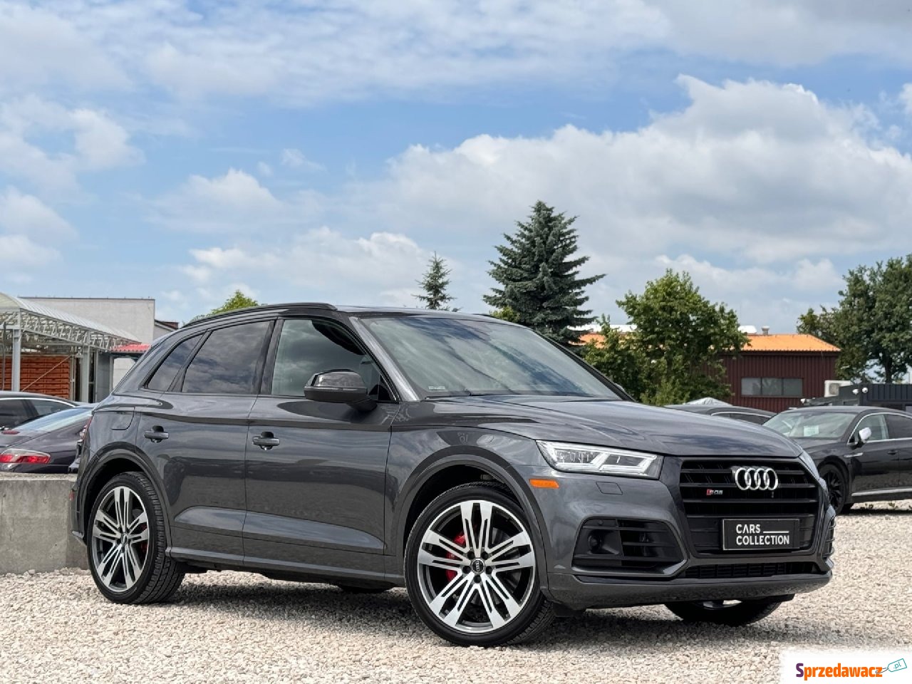 Audi SQ5 2019