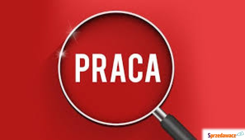 Praca w markecie Brzezina - Kasjer - Brzezina