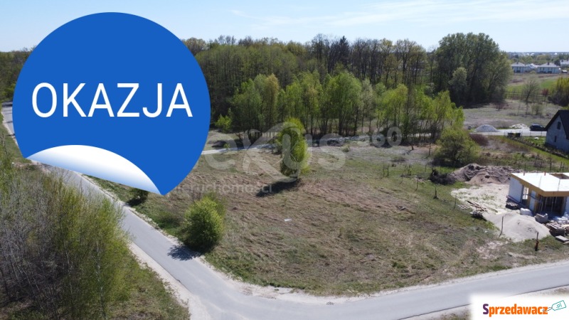 Odkryj Magię Podkowy Leśnej–Pe...