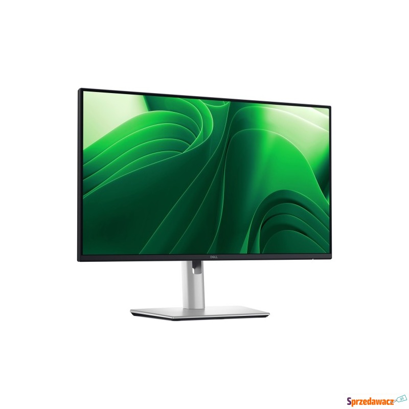 DELL Pro Plus P2425DE monitor...