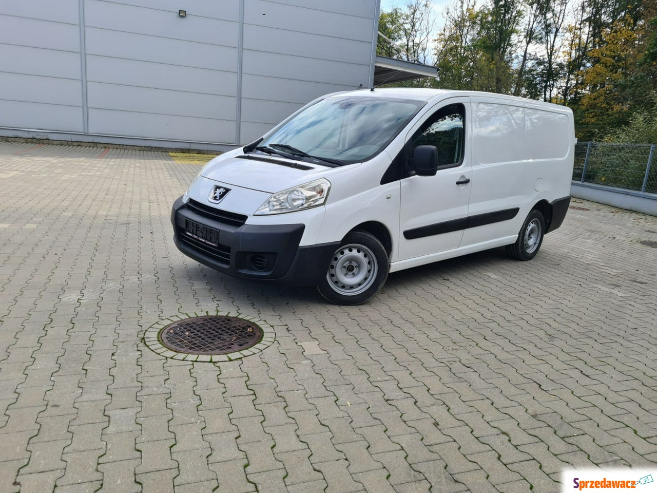 Peugeot Expert 2008
