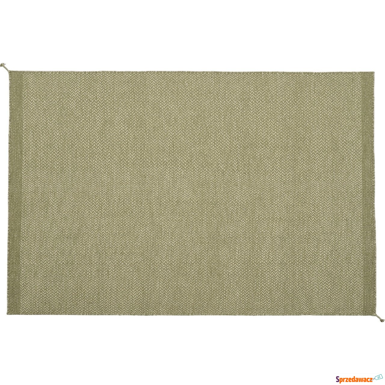Dywan Ply 170 x 240 cm zielony...