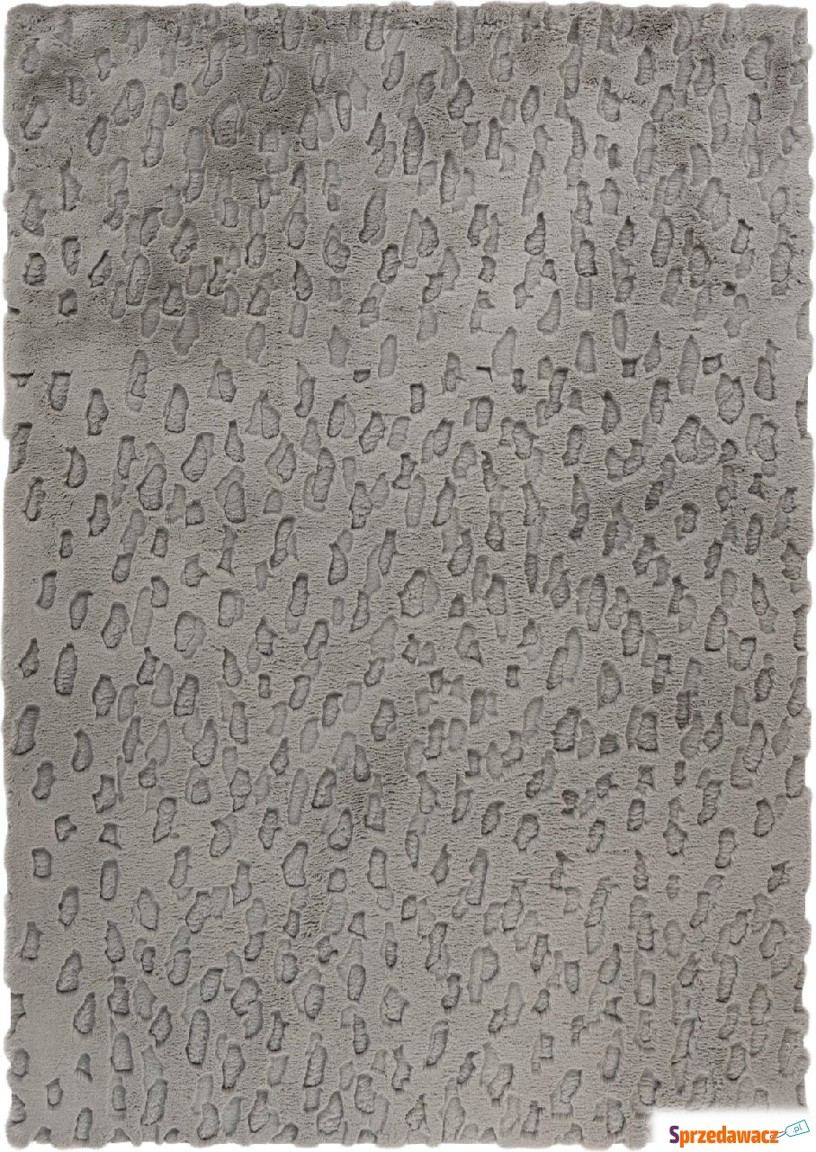 Dywan Valley 80 x 150 cm srebrny
