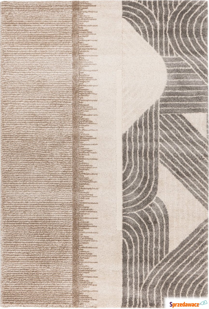 Dywan Canyon 975 120 x 170 cm taupe