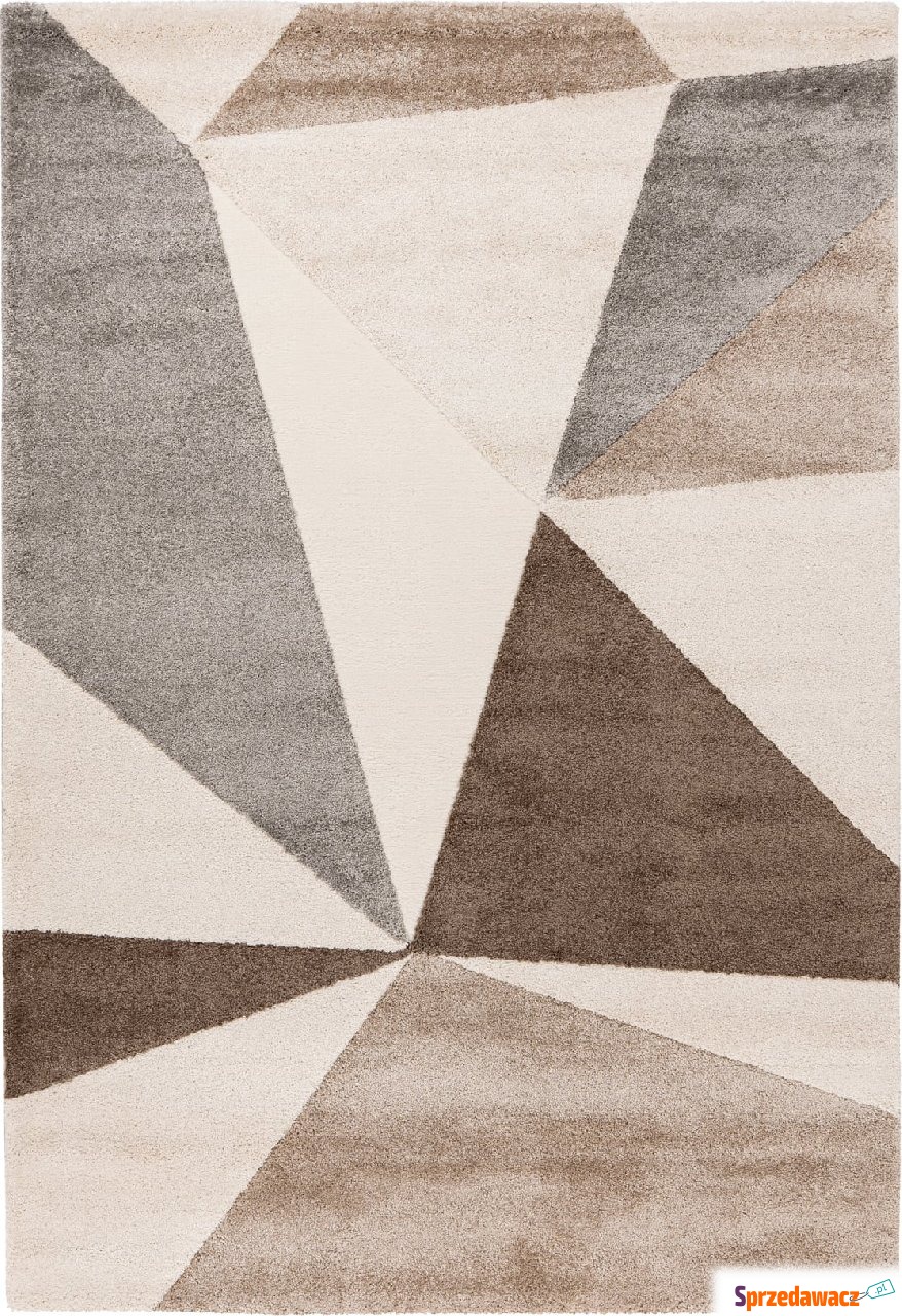 Dywan Canyon 974 80 x 150 cm taupe