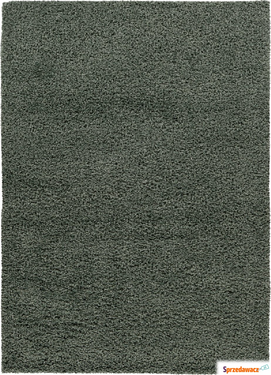 Dywan Twist 120 x 170 cm jadeitowy