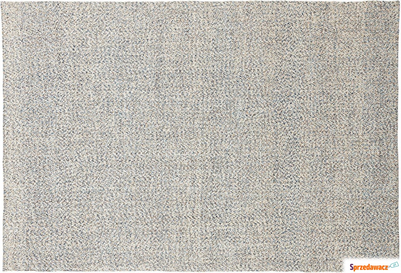 Dywan Polli 200 x 300 cm kolorowy...