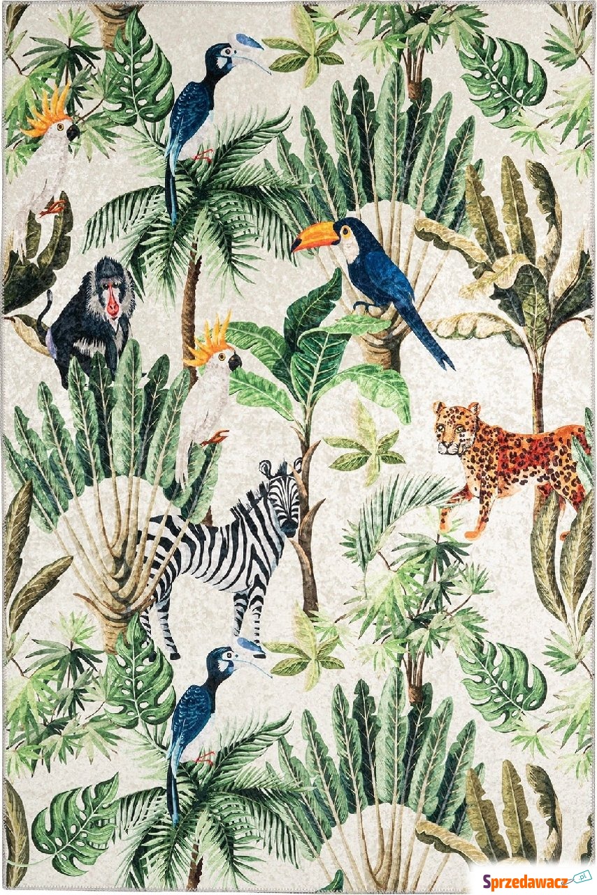 Dywan Exotic 213 160 x 230 cm kolorowy