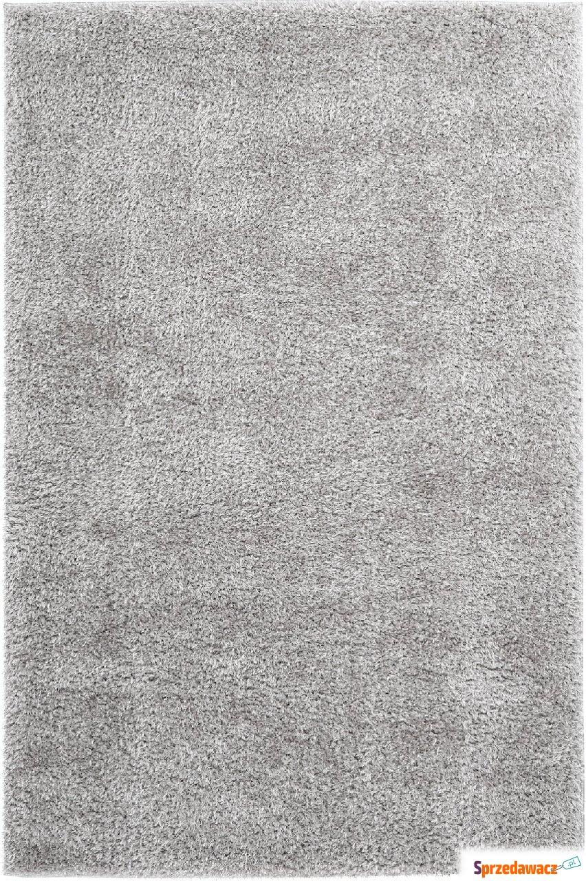 Dywan Emilia 160 x 230 cm srebrny