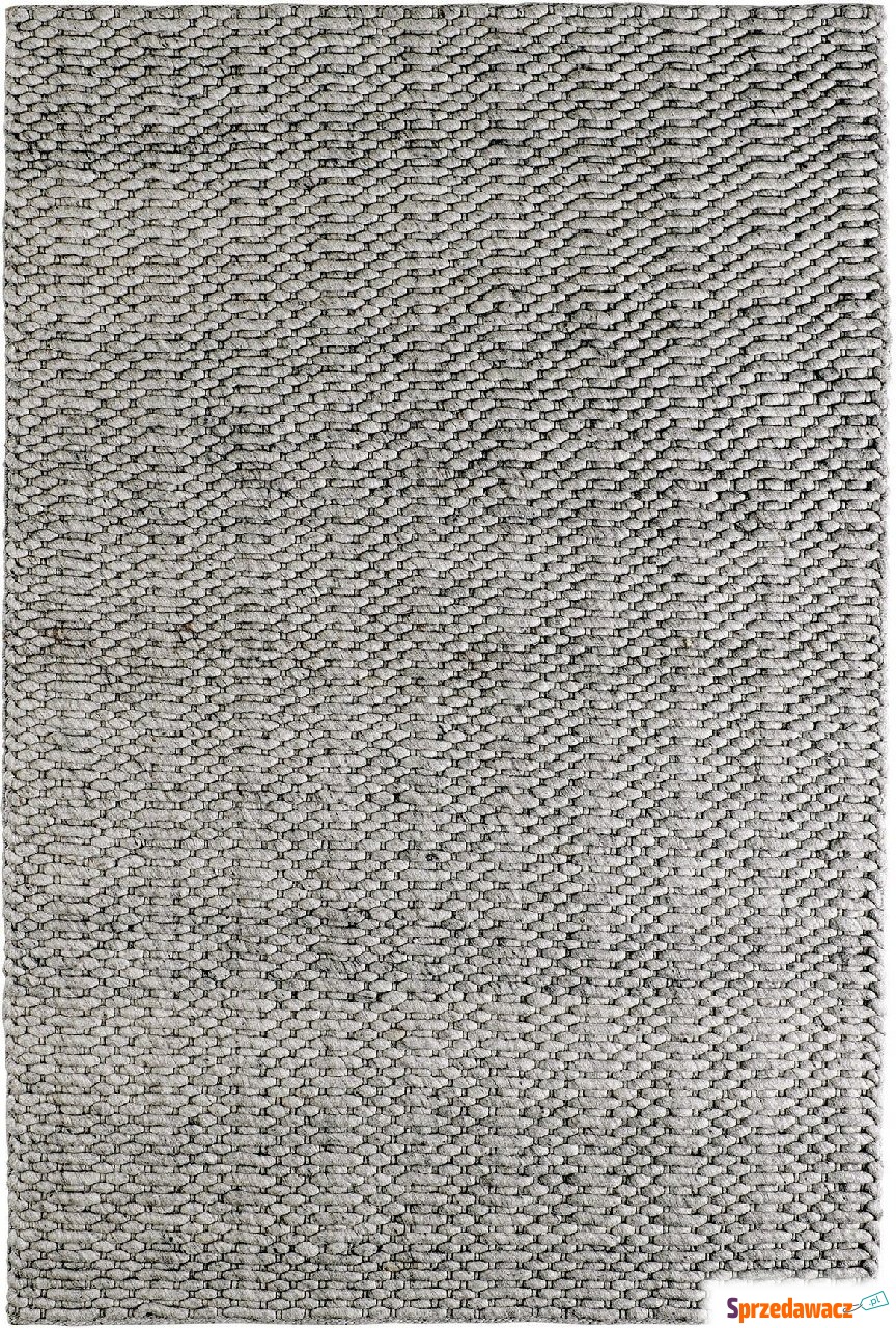 Dywan Forum silver 120 x 170 cm