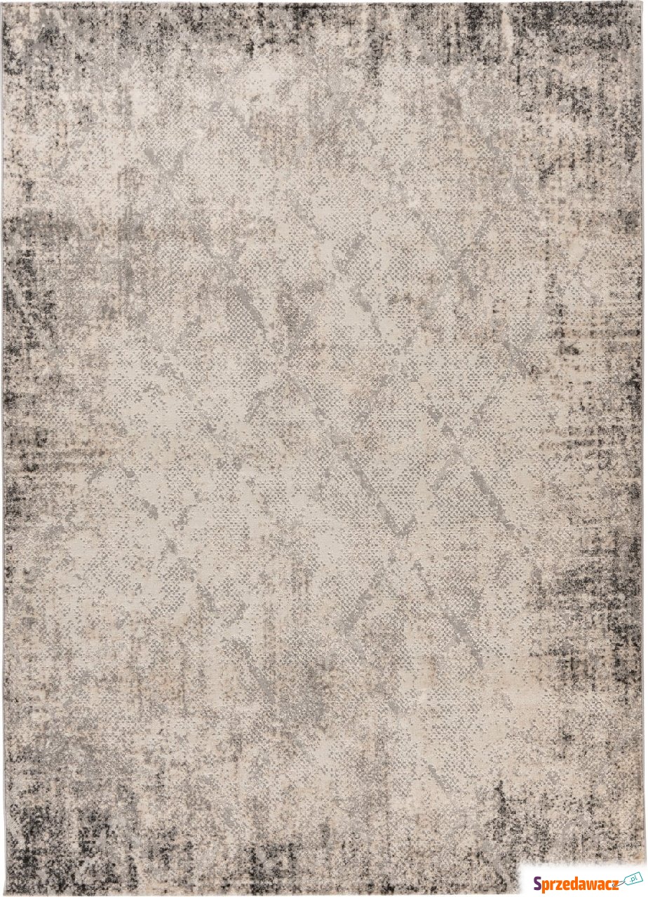 Dywan Salsa 694 120 x 170 cm szary