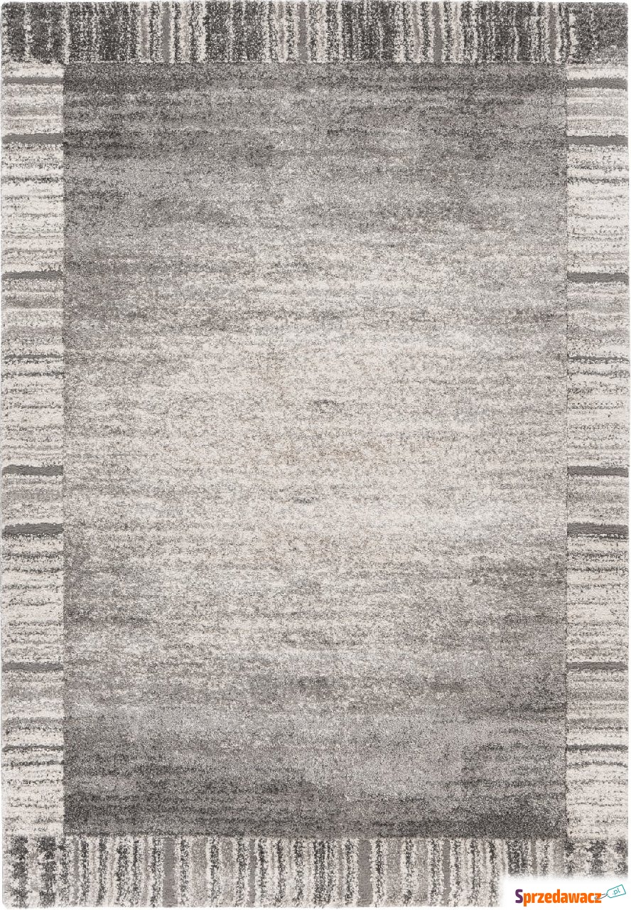 Dywan Canyon 970 120 x 170 cm szary