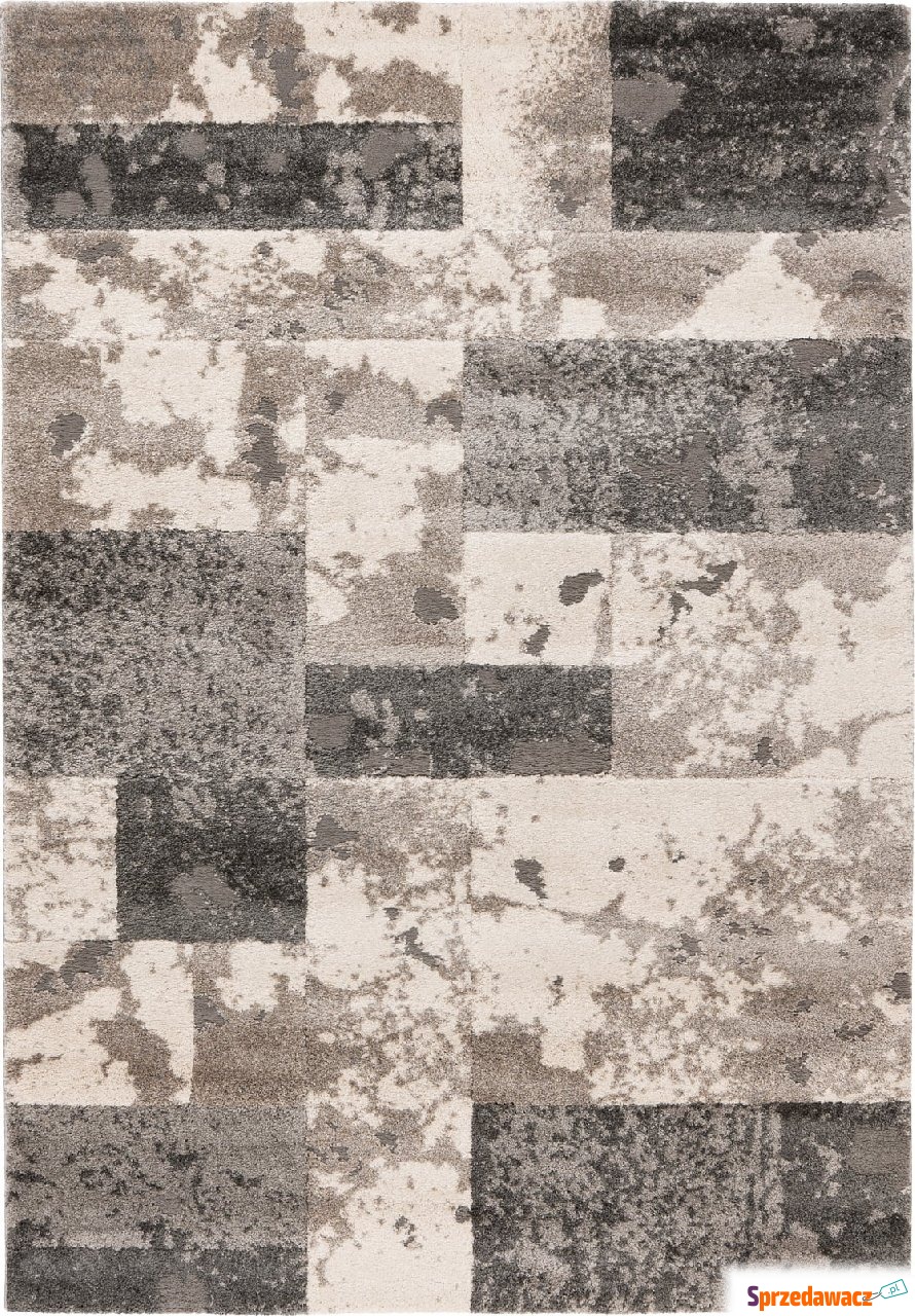 Dywan Canyon 971 120 x 170 cm szary