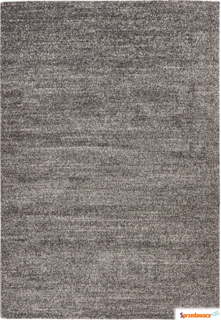 Dywan Nassau 772 120 x 170 cm szary