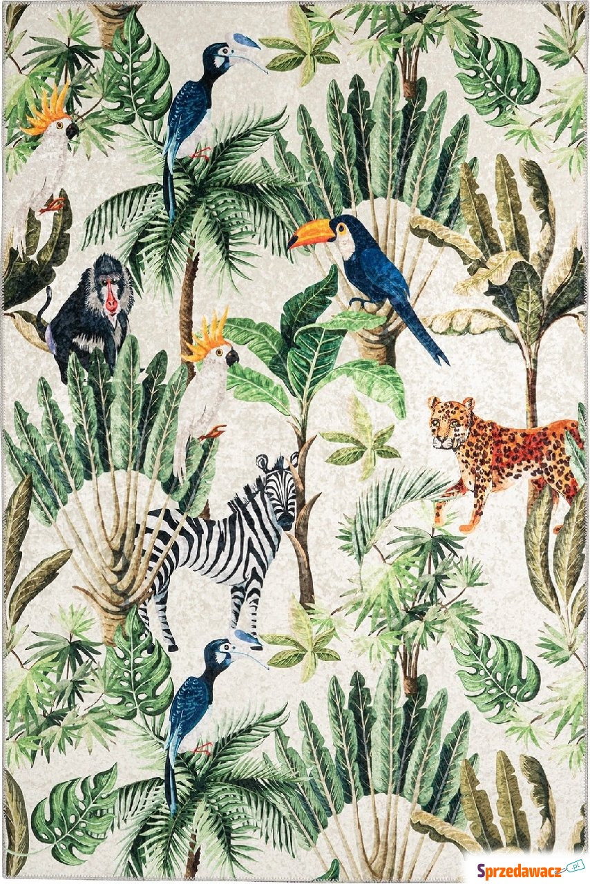 Dywan Exotic 213 120 x 170 cm kolorowy