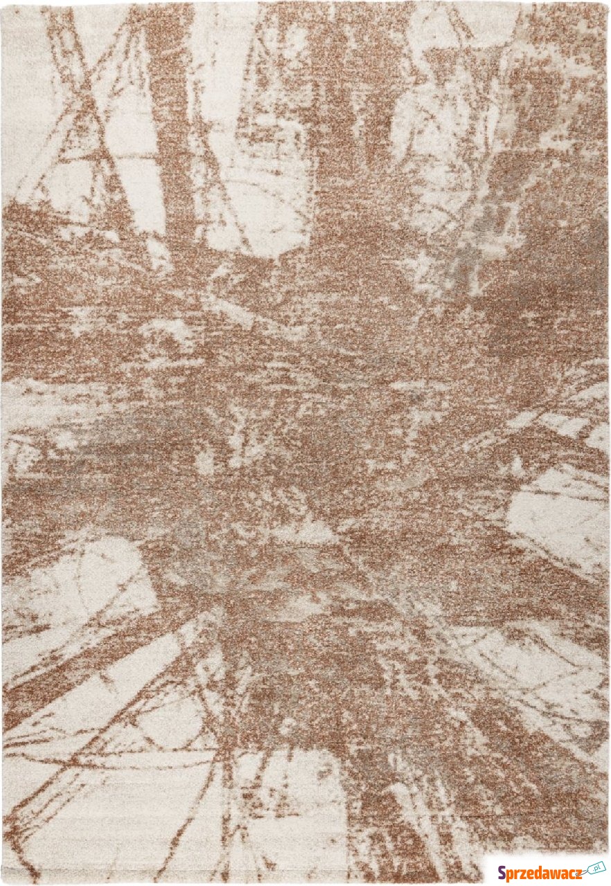 Dywan Bologna 460 120 x 170 cm...