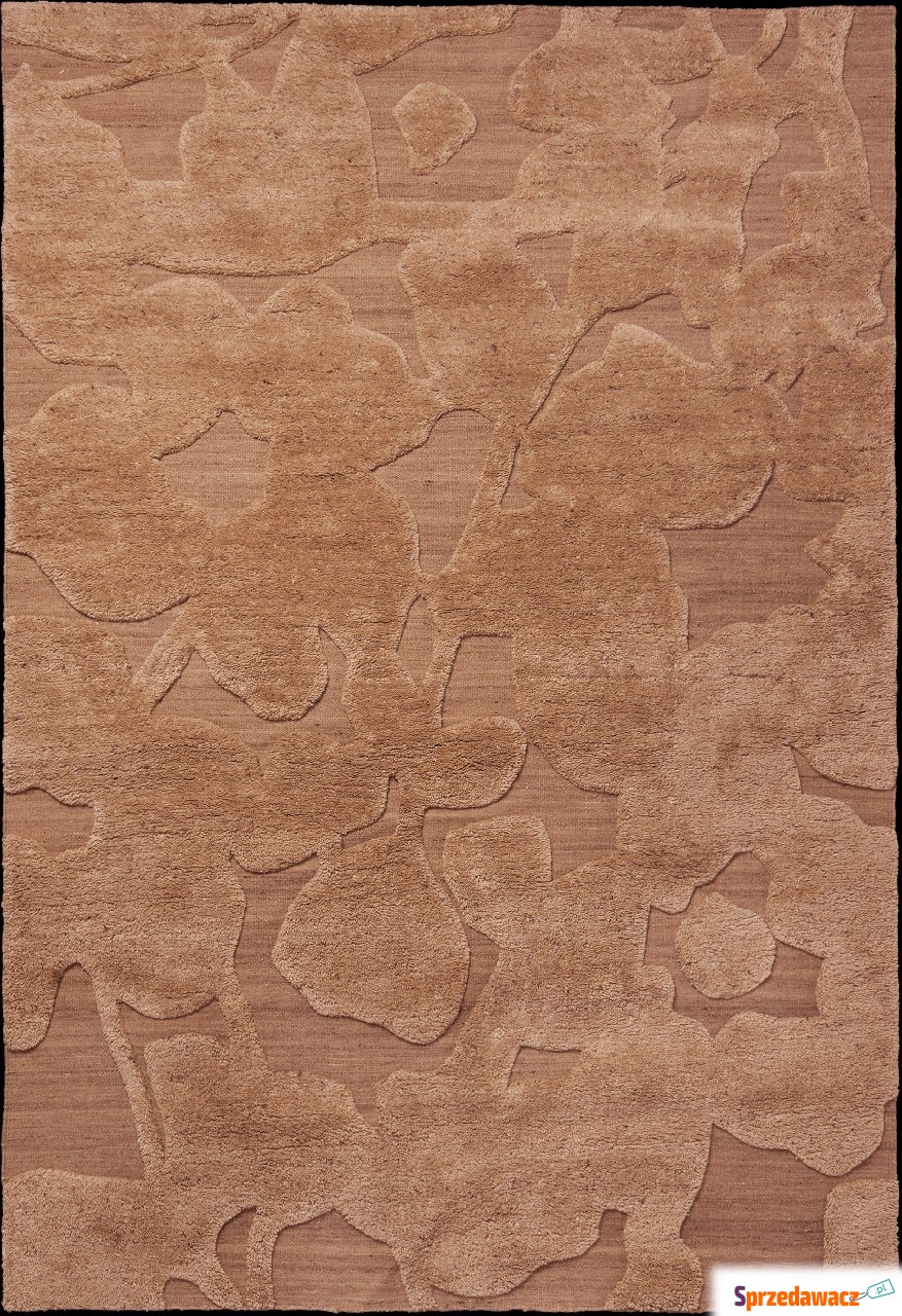 Dywan Cilla 170 x 240 cm brązowy