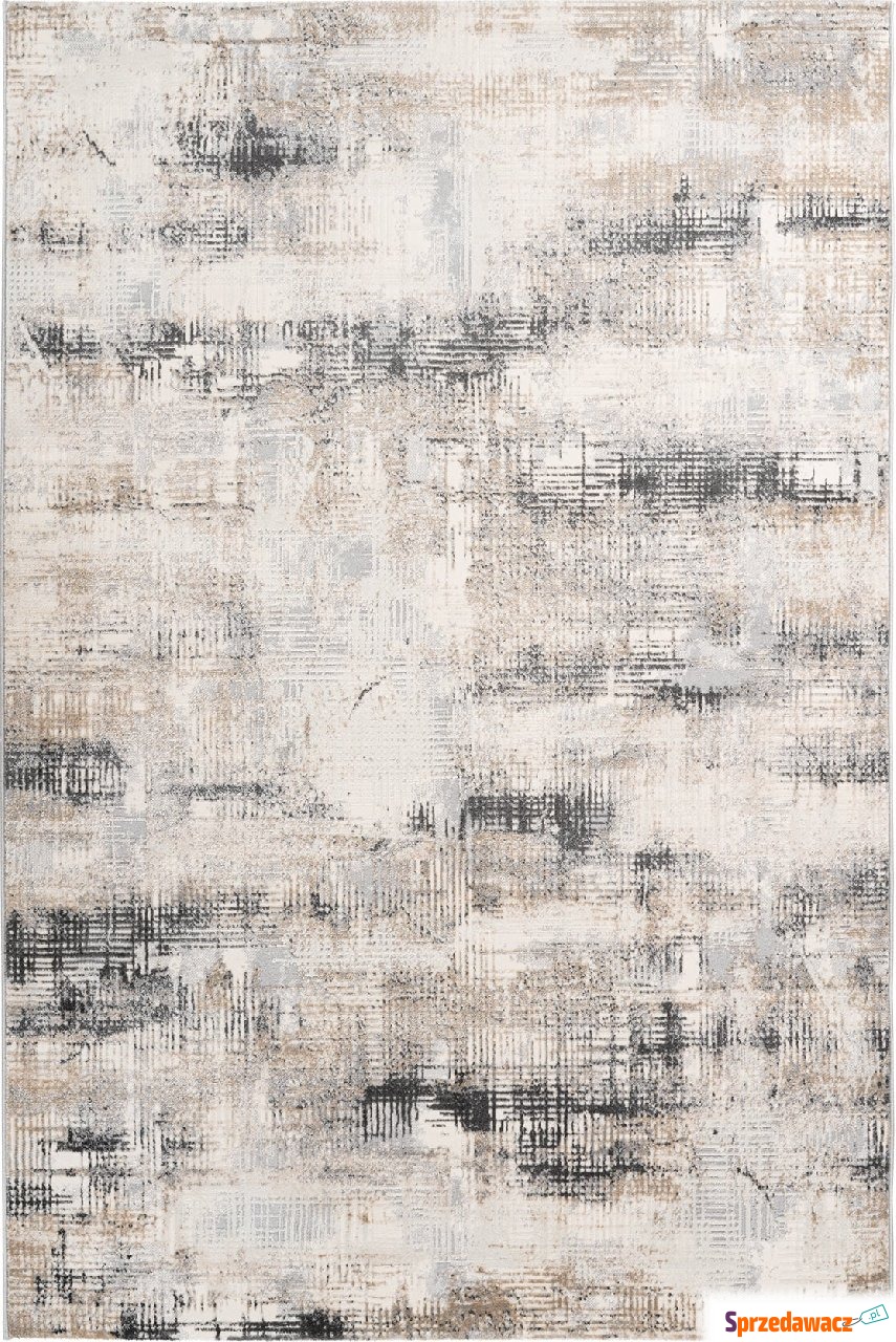 Dywan Salsa 691 80 x 150 cm szary