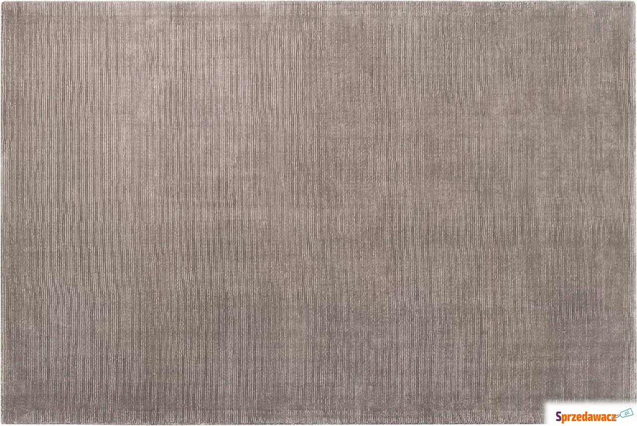 Dywan Visca 200 x 300 cm szarobrązowy