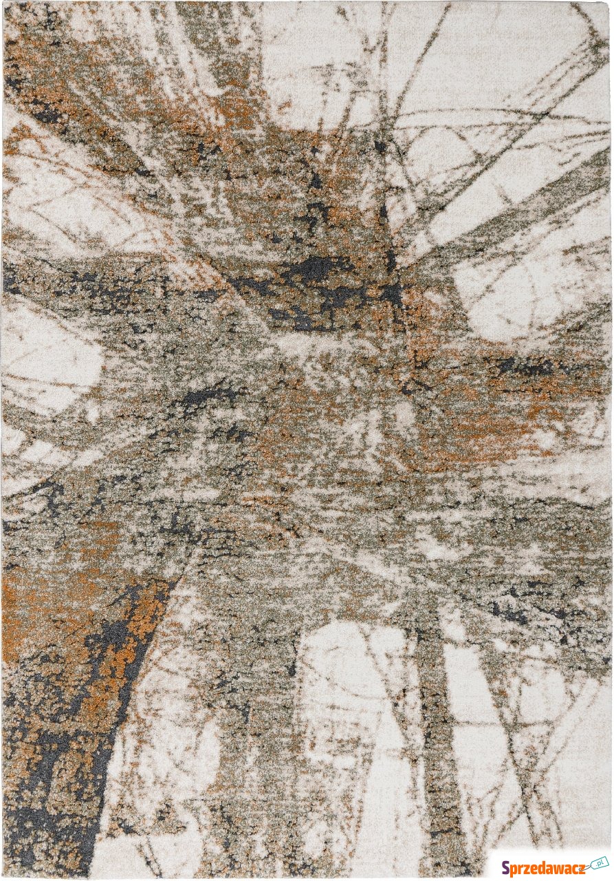 Dywan Bologna 460 120 x 170 cm...