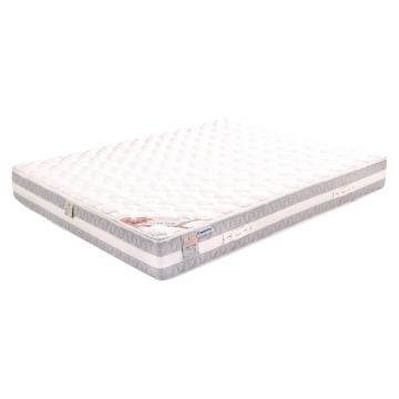 Materac Argento Therapy Mollyflex 100x200x26 piankowy, twardy H4