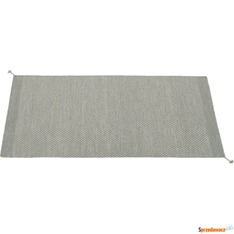 Dywan Ply 85 x 140 cm szary - Dywany, chodniki - Rybnik