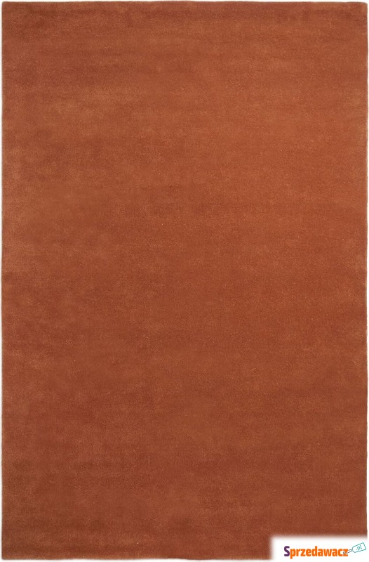Dywan Stille 200 x 300 cm czerwonobrązowy - Dywany, chodniki - Częstochowa