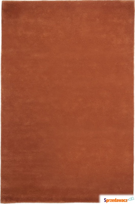 Dywan Stille 160 x 250 cm czerwonobrązowy - Dywany, chodniki - Zamość