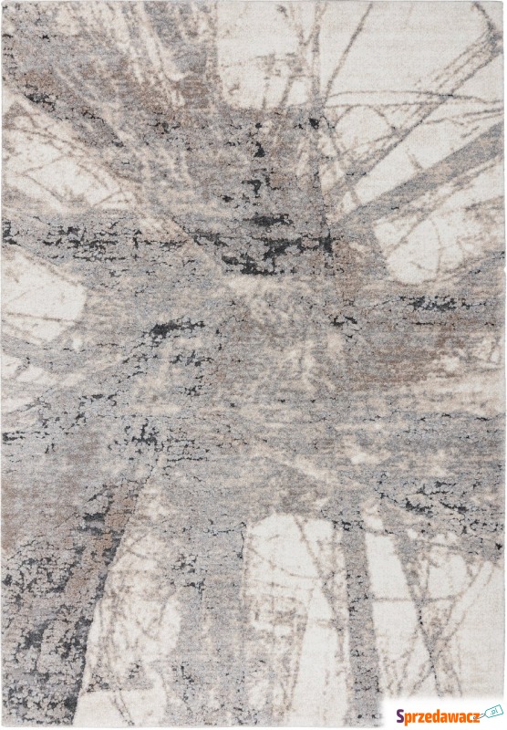 Dywan Bologna 460 140 x 200 cm szary - Dywany, chodniki - Płock